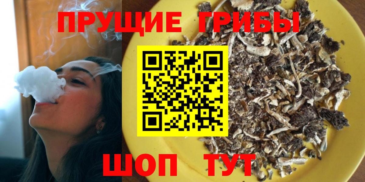 что такое   Псилоцибиновые грибы мицелий  Вход с VPN  Геленджик 